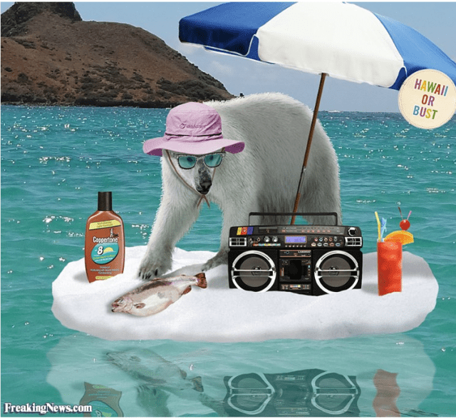 Screen Shot 2015-03-08 at 1.27.16 PM