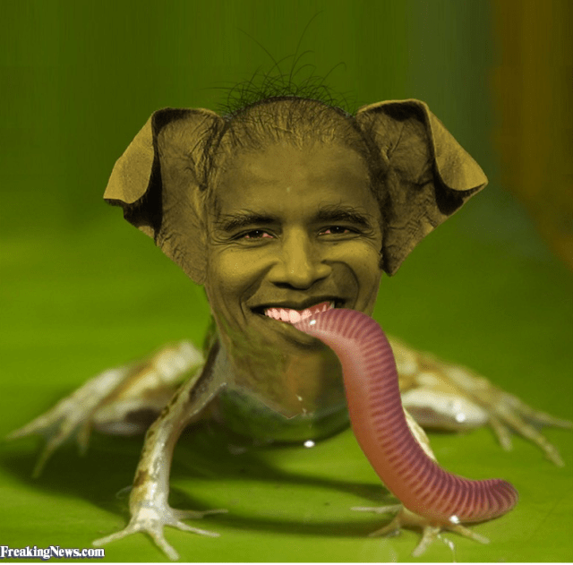 screen-shot-2016-09-13-at-5-12-46-pm